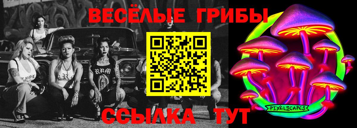 Галлюциногенные грибы Cubensis Барнаул